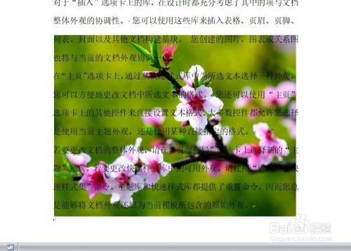 手机版word文档怎么添加图片的简单介绍-第2张图片-亚星国际官网