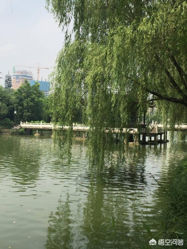 作为摄影爱好者+头条用户，你怎么看待头条举办的摄影大赛？你会参加么？如何参加？-第3张图片-亚星国际官网