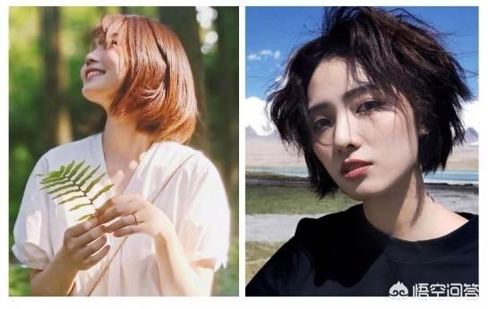 同等价位的oppo手机和荣耀手机，哪个比较好？-第2张图片-亚星国际官网