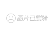 遨游中国2手机版小车:小车扛重炮：中国的120毫米超轻车载迫榴炮，8公里内全无敌。