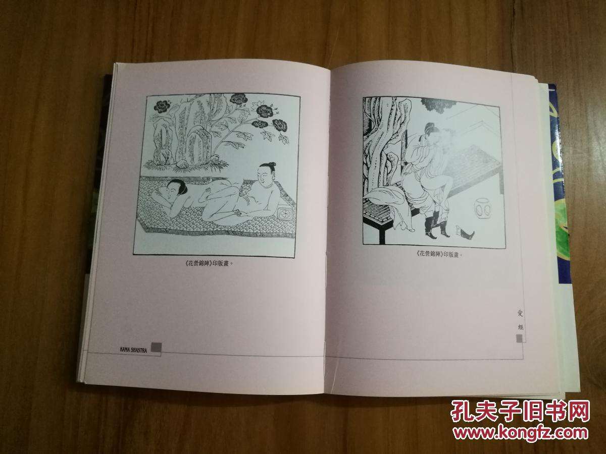 印度爱经安卓版印度西施全集1一5-第1张图片-亚星国际官网