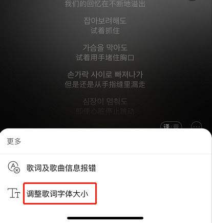 网易云音乐客户端没有歌词网易云音乐2016旧版本下载-第1张图片-亚星国际官网