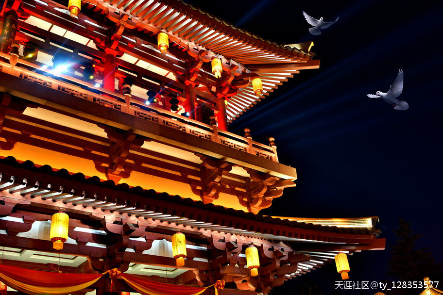 大唐芙蓉园灯展百图集【严建设】 今夜月明星稀，却好观灯<strongalt=