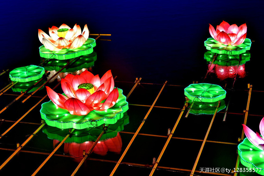 大唐芙蓉园灯展百图集【严建设】 今夜月明星稀，却好观灯<strongalt=