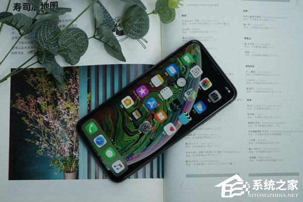苹果xs手机代码苹果xs手机强制重启-第2张图片-亚星国际官网
