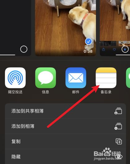 苹果手机上传视频苹果手机自带tv视频怎么用-第1张图片-亚星国际官网