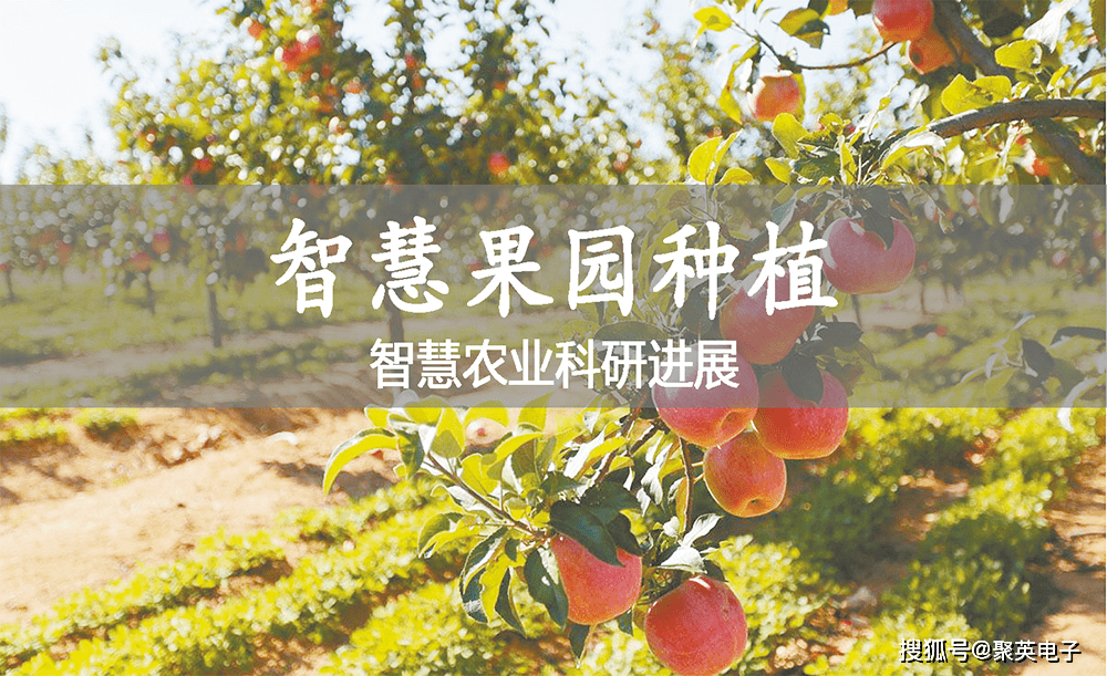 作业系统苹果版
:农业科普：智慧果园种植科研进展分享(二)，了解最新农研成果