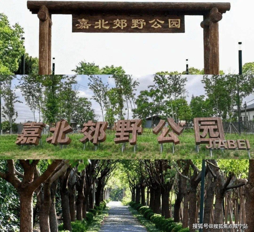恒房通苹果版
:嘉隆骏_售楼处网站丨上海嘉定（嘉隆骏_嘉隆骏）营销中心欢迎您丨楼盘详情-第8张图片-亚星国际官网