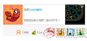熊猫tv苹果版怎么充值:熊猫tv猫币购买价格及作用介绍-第5张图片-亚星国际官网