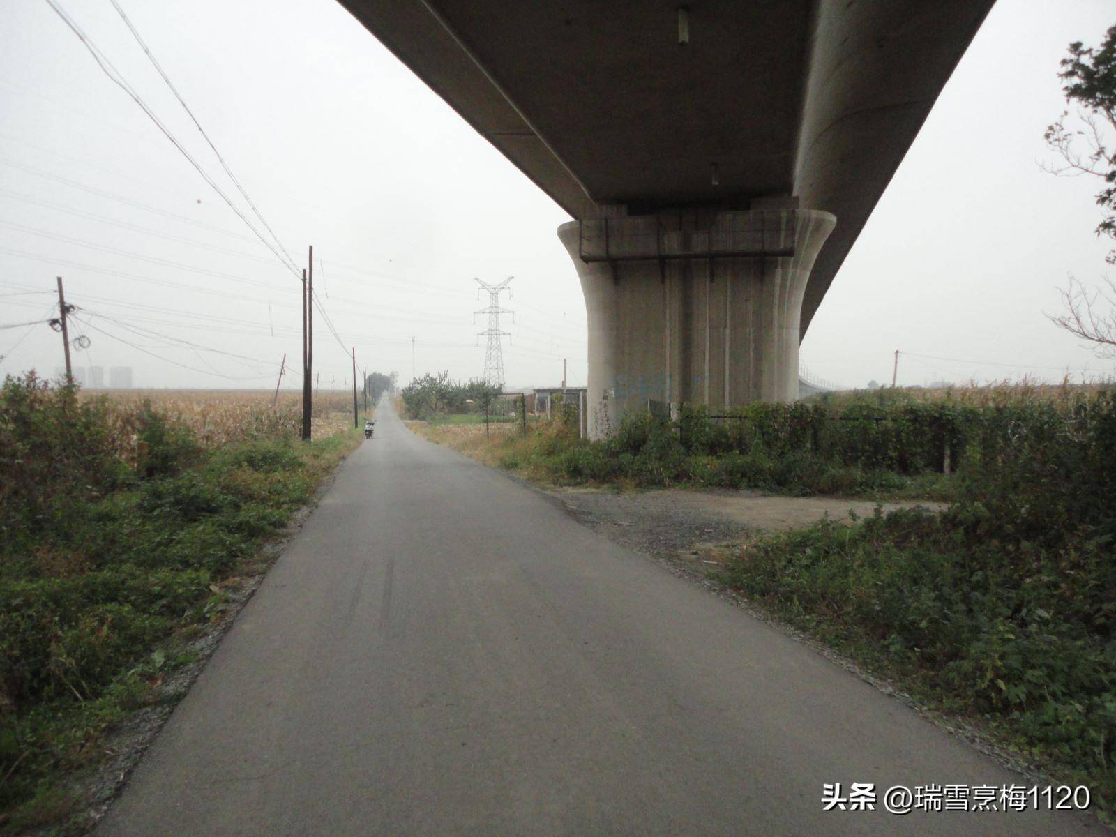 钱来道苹果版:地名档案 | 苏家屯区沙河街道后三道岗子村-第8张图片-亚星国际官网