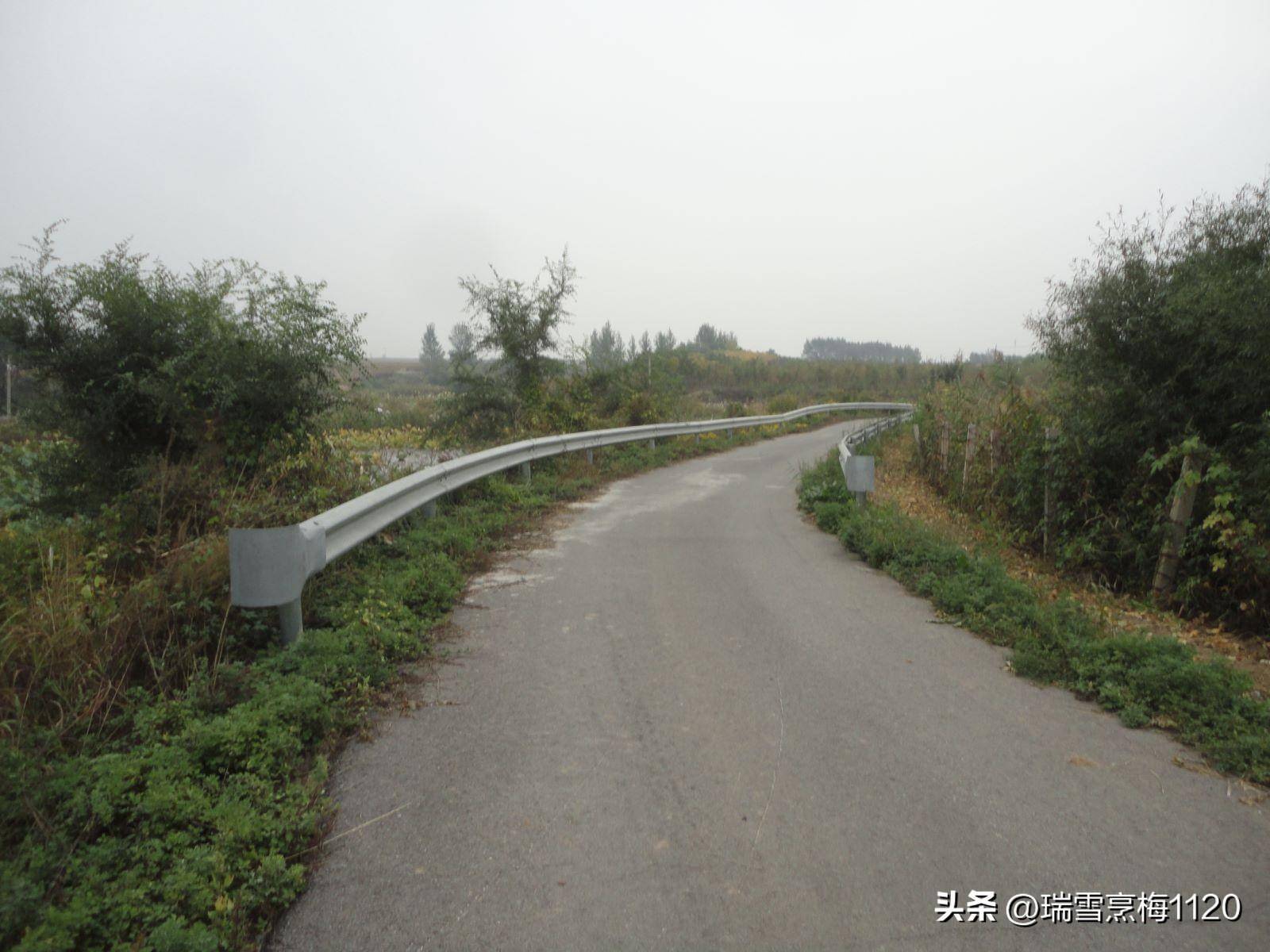钱来道苹果版:地名档案 | 苏家屯区沙河街道后三道岗子村-第17张图片-亚星国际官网