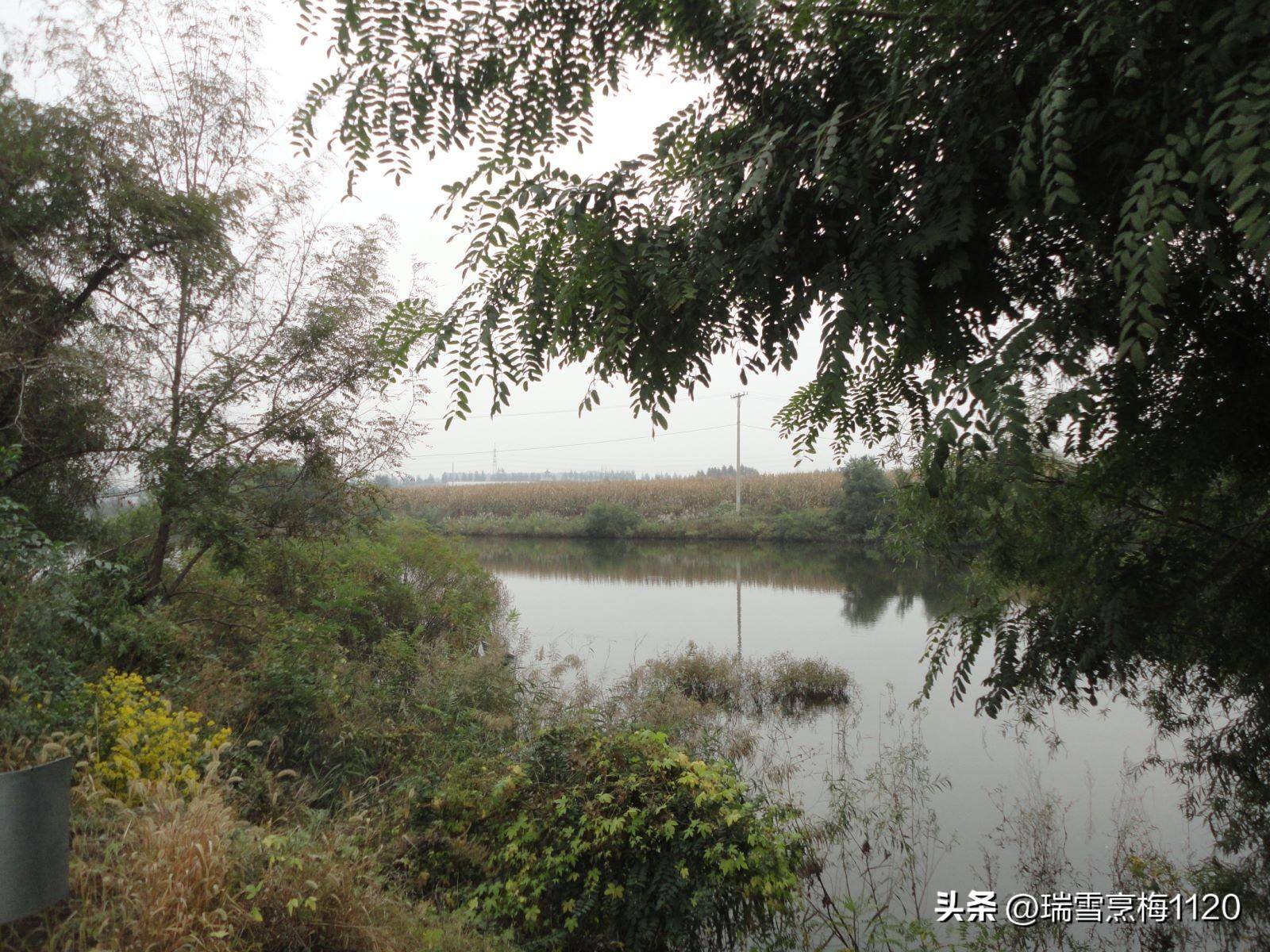 钱来道苹果版:地名档案 | 苏家屯区沙河街道后三道岗子村-第19张图片-亚星国际官网