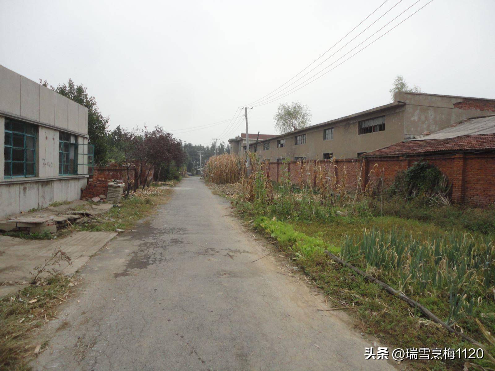 钱来道苹果版:地名档案 | 苏家屯区沙河街道后三道岗子村-第20张图片-亚星国际官网