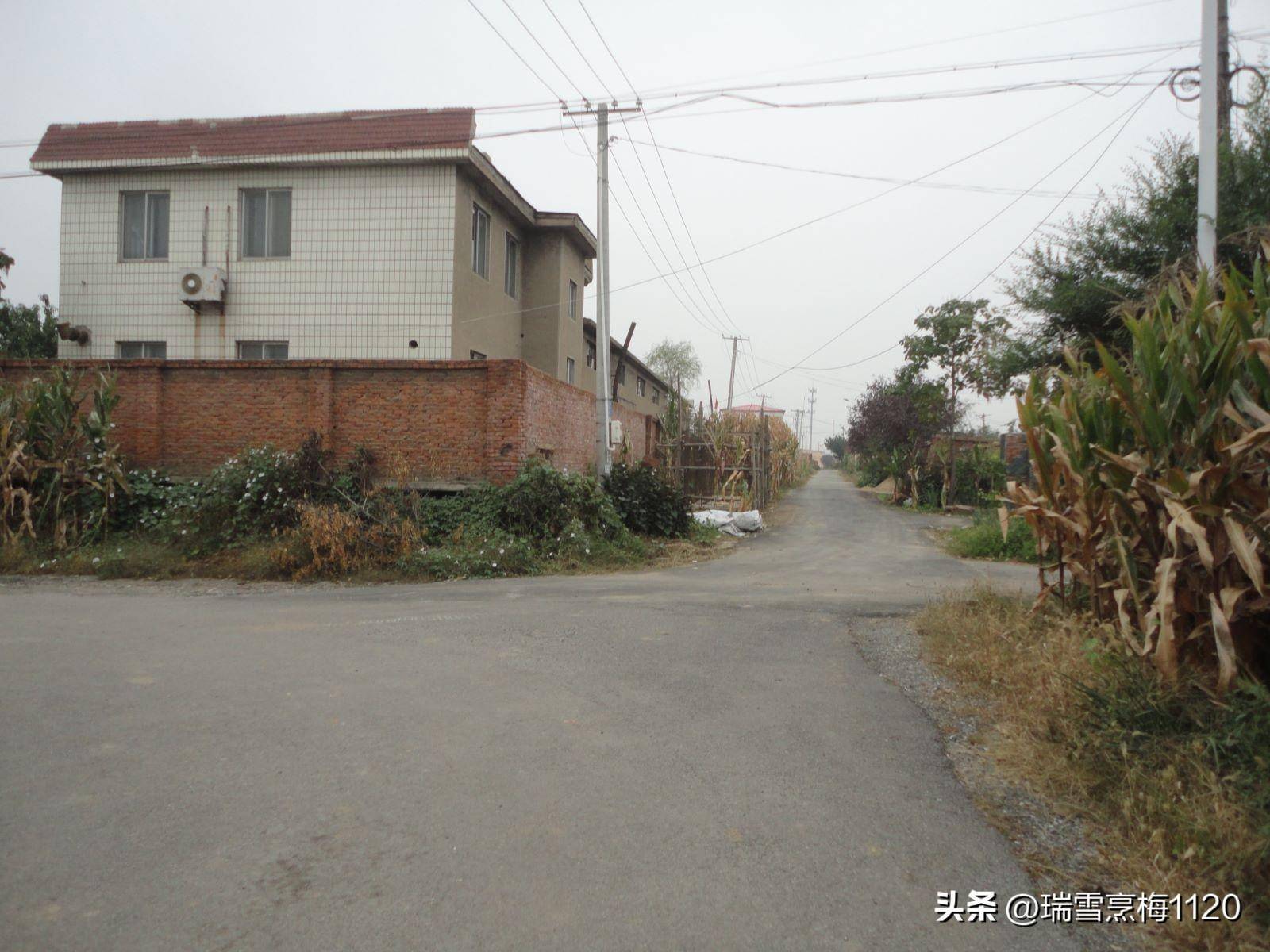 钱来道苹果版:地名档案 | 苏家屯区沙河街道后三道岗子村-第23张图片-亚星国际官网
