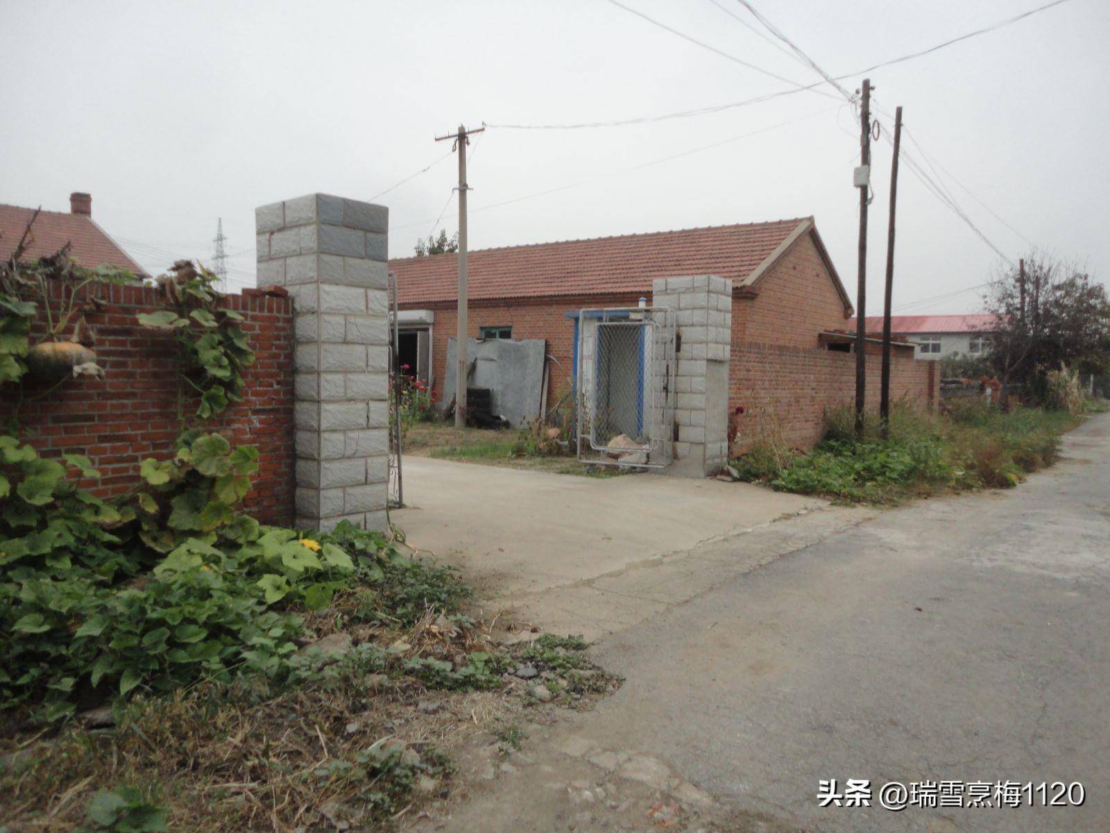 钱来道苹果版:地名档案 | 苏家屯区沙河街道后三道岗子村-第24张图片-亚星国际官网