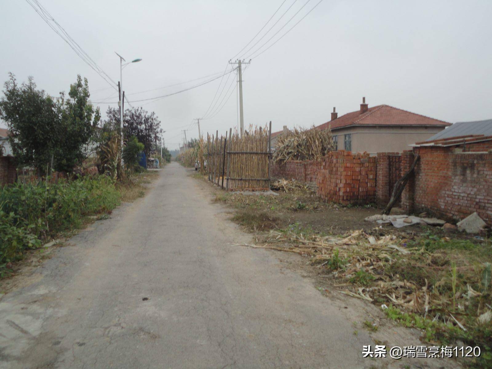 钱来道苹果版:地名档案 | 苏家屯区沙河街道后三道岗子村-第25张图片-亚星国际官网