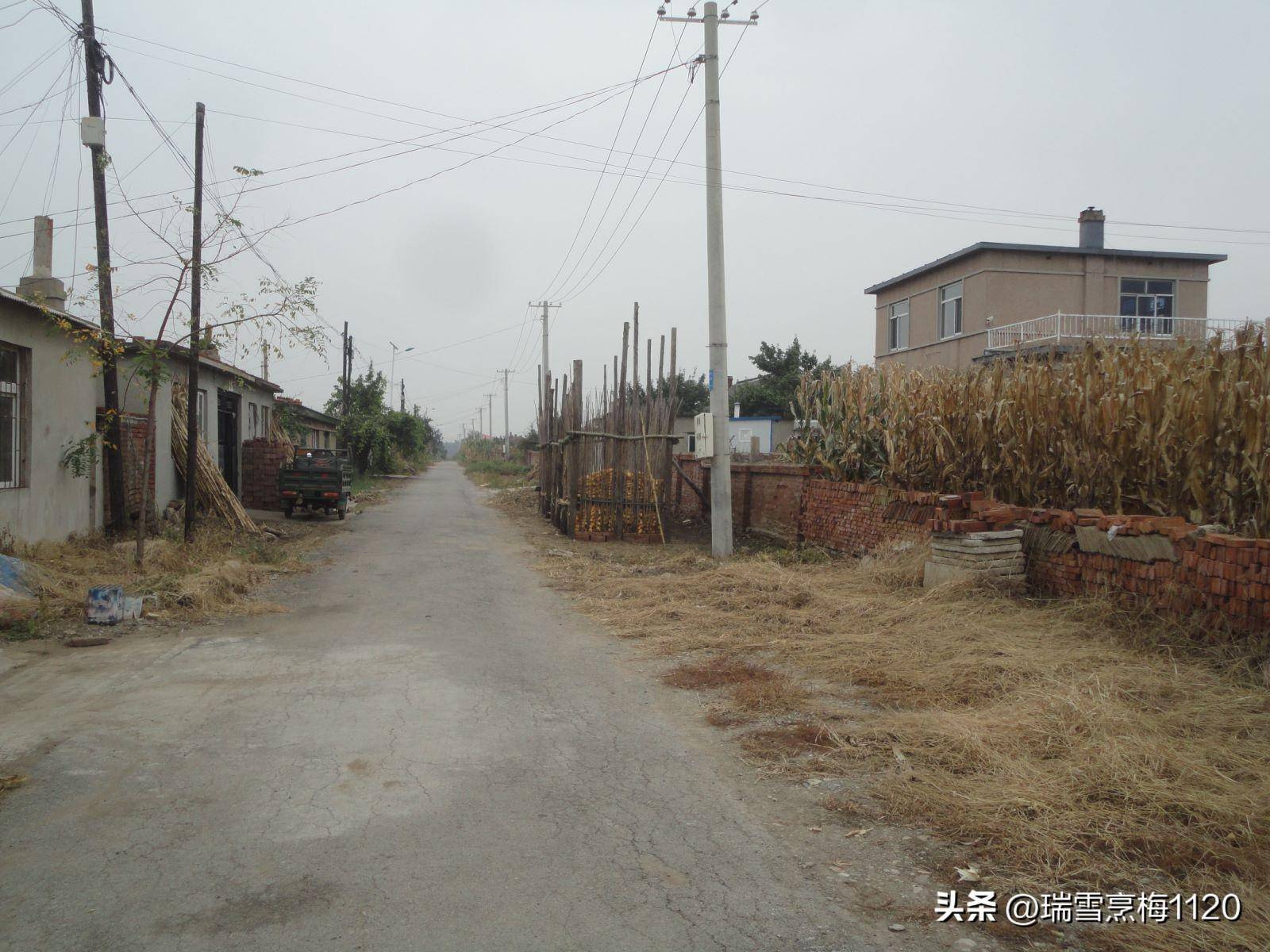 钱来道苹果版:地名档案 | 苏家屯区沙河街道后三道岗子村-第26张图片-亚星国际官网