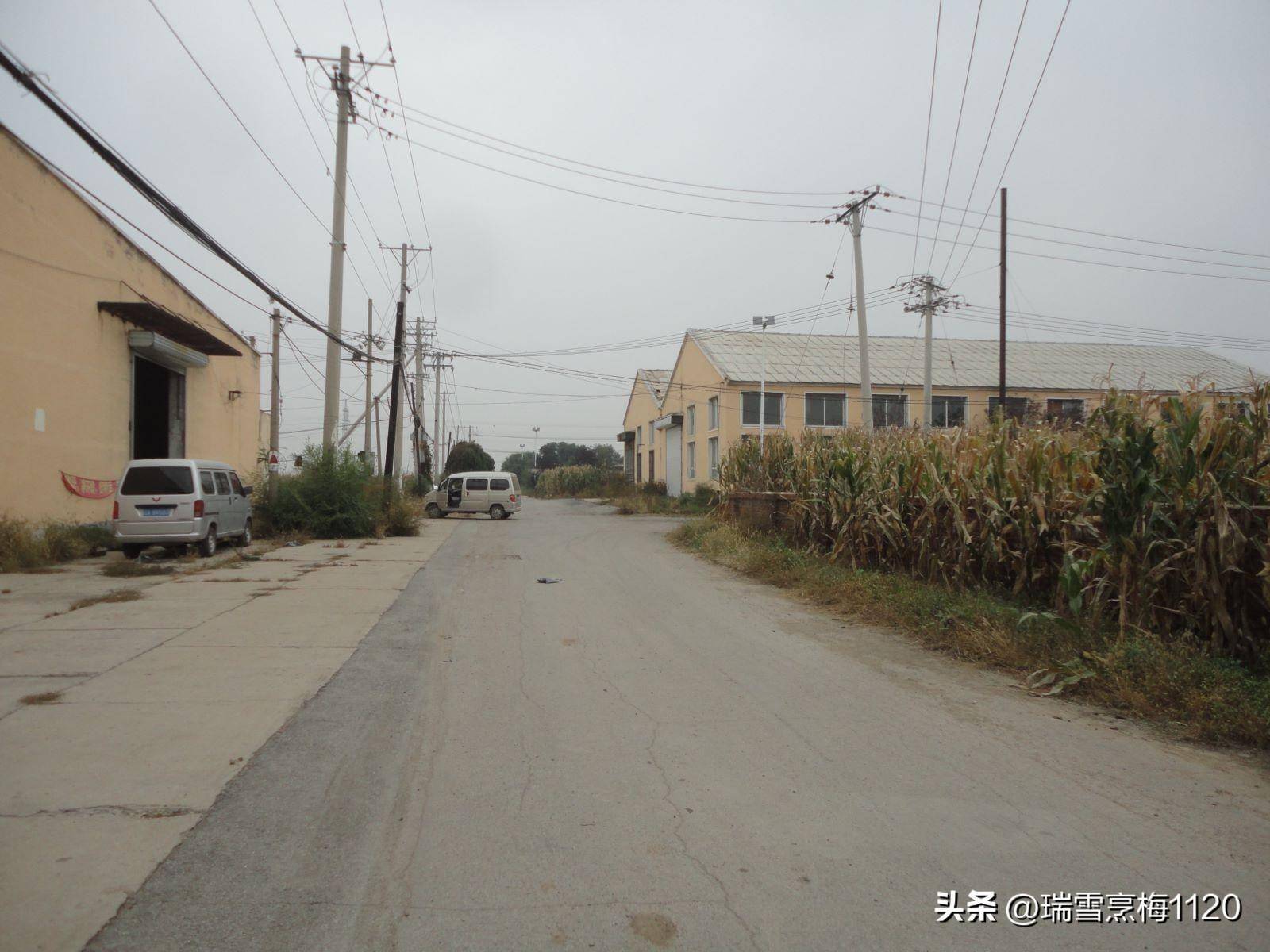 钱来道苹果版:地名档案 | 苏家屯区沙河街道后三道岗子村-第27张图片-亚星国际官网