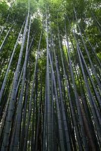 苹果12红色版参数-第1张图片-亚星国际官网 苹果12红色版参数-第1张图片-亚星国际官网