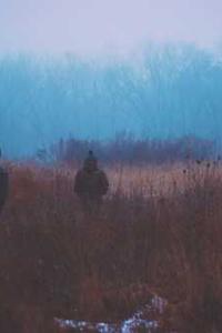 下载有讯苹果版-第3张图片-亚星国际官网 下载有讯苹果版-第3张图片-亚星国际官网