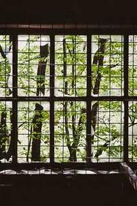 火影杀手机版下载