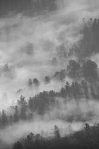 掌上通讯下载安卓版苹果版-第4张图片-亚星国际官网 掌上通讯下载安卓版苹果版-第4张图片-亚星国际官网