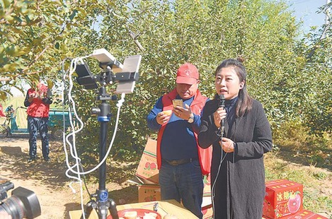淄博苹果电商新闻网址是多少淄博爱特电子商务有限公司评职称-第2张图片-亚星国际官网
