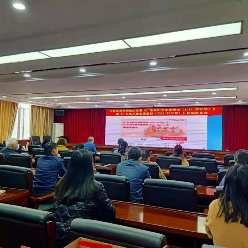 阳江手机新闻阳江最新消息新闻-第1张图片-亚星国际官网