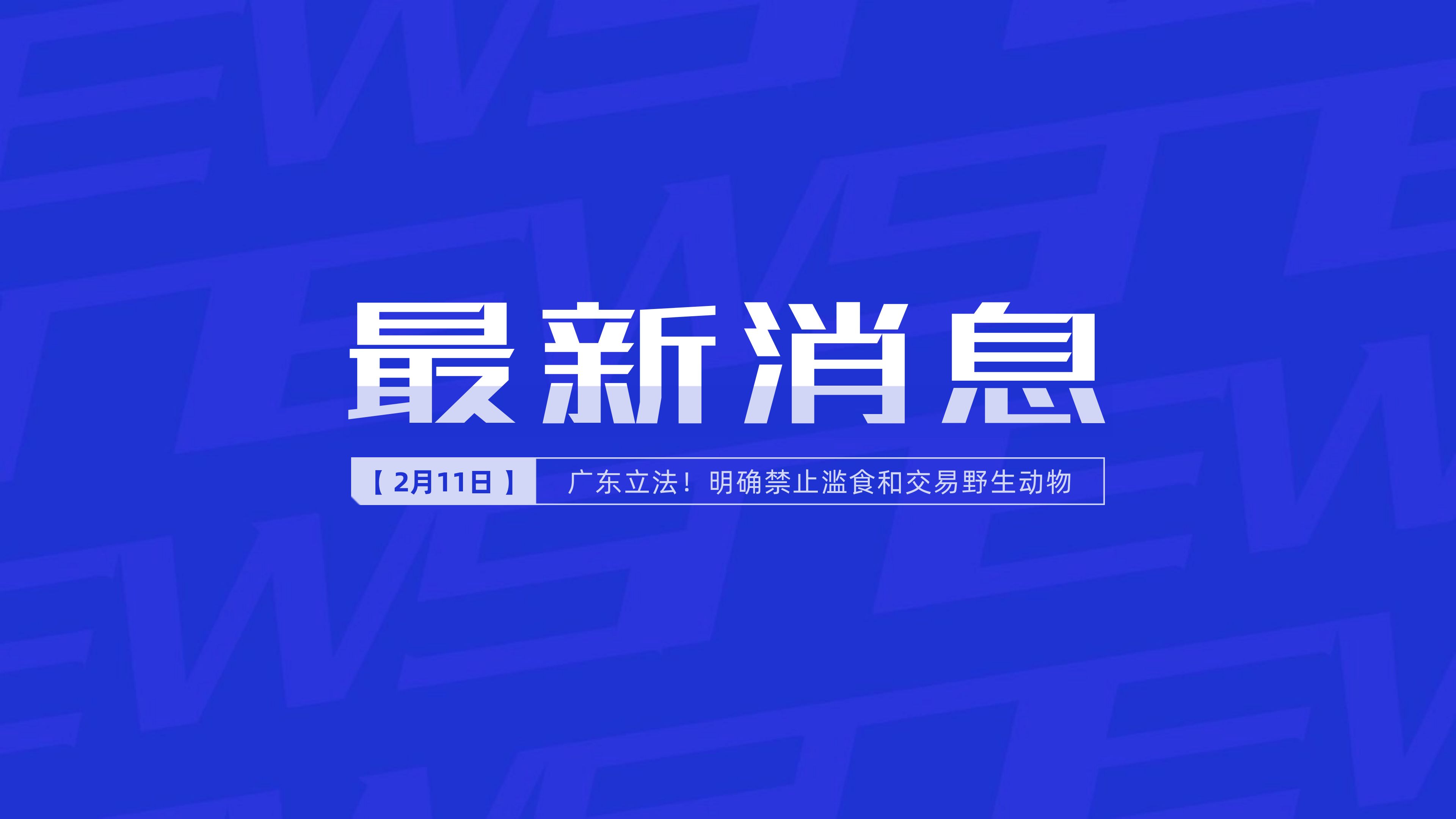手机新闻视频能转发吗央视新闻的视频可以转发吗-第2张图片-亚星国际官网