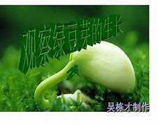 逗丫苹果版苹果免费追剧app神器