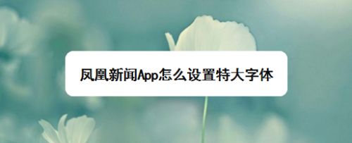 华为手机用什么新闻app手机上看新闻用哪个软件最好-第1张图片-亚星国际官网