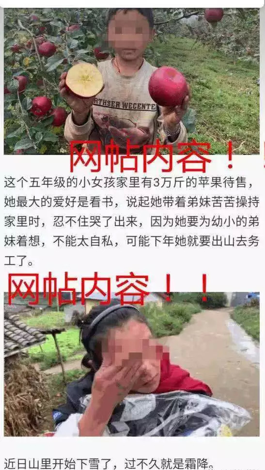 腾讯新闻客户端账号注册的简单介绍-第2张图片-亚星国际官网