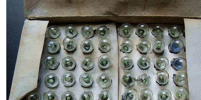 手机暗扣新闻学生使用手机的新闻