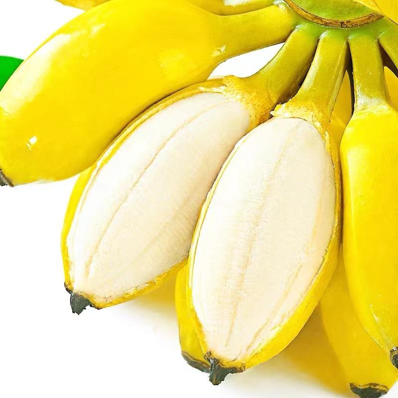 香蕉版苹果图片苹果图片大全大图