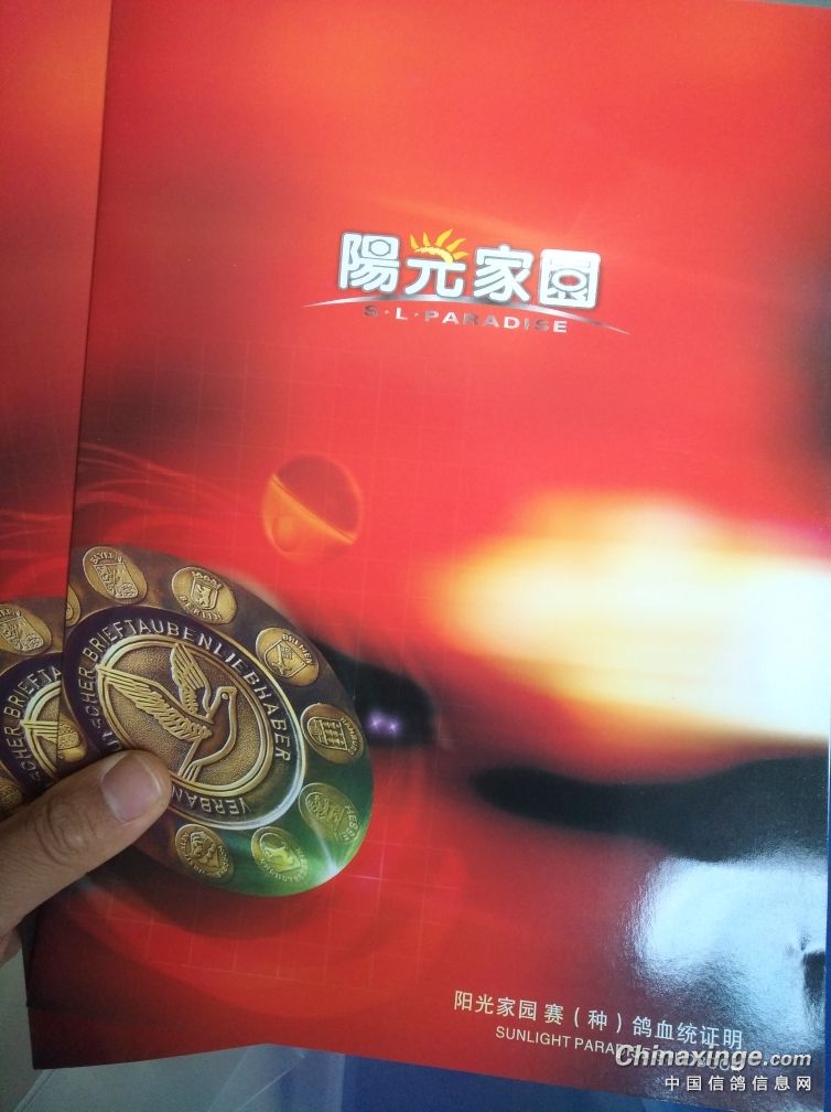阳光家园安卓版阳光家园房产查询系统-第2张图片-亚星国际官网