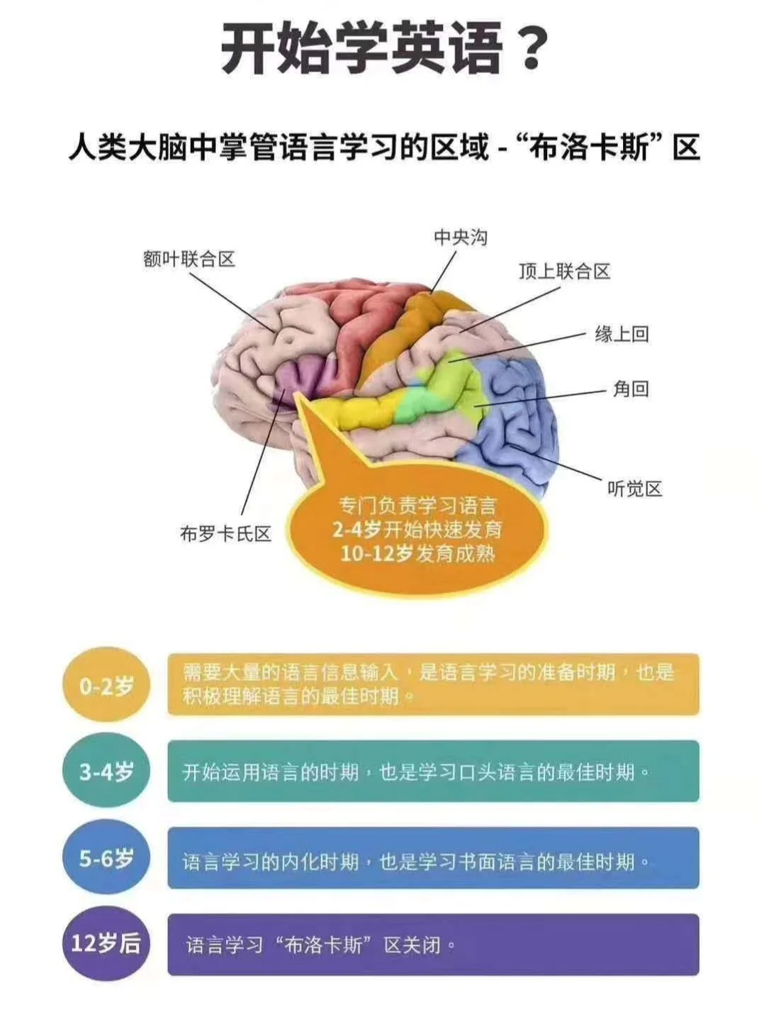 ienglish安卓版ienglish最新版本型号-第2张图片-亚星国际官网