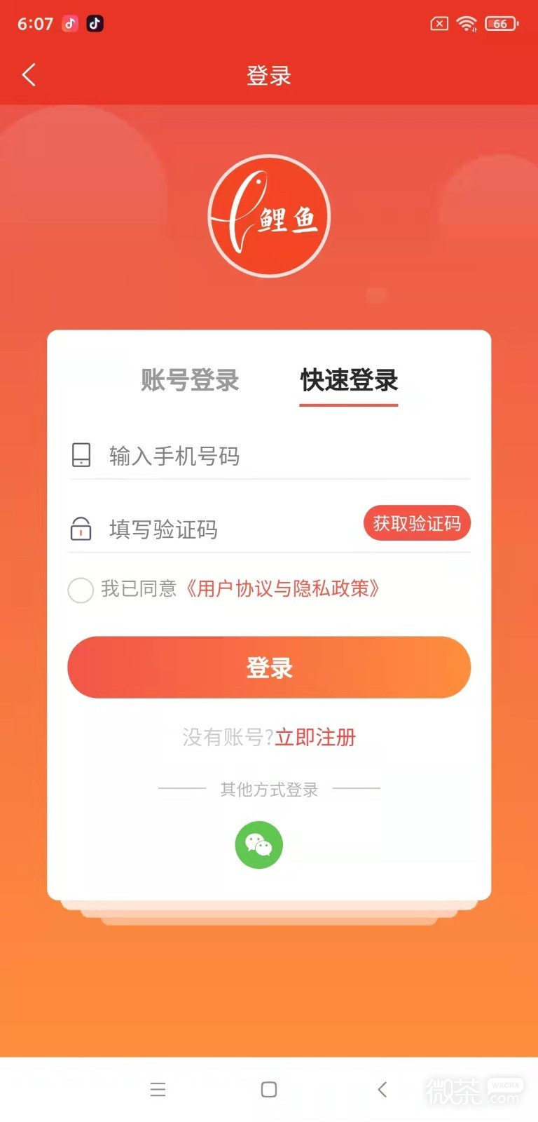合成鲤鱼小游戏手机版鲤鱼玩1000种小游戏-第2张图片-亚星国际官网