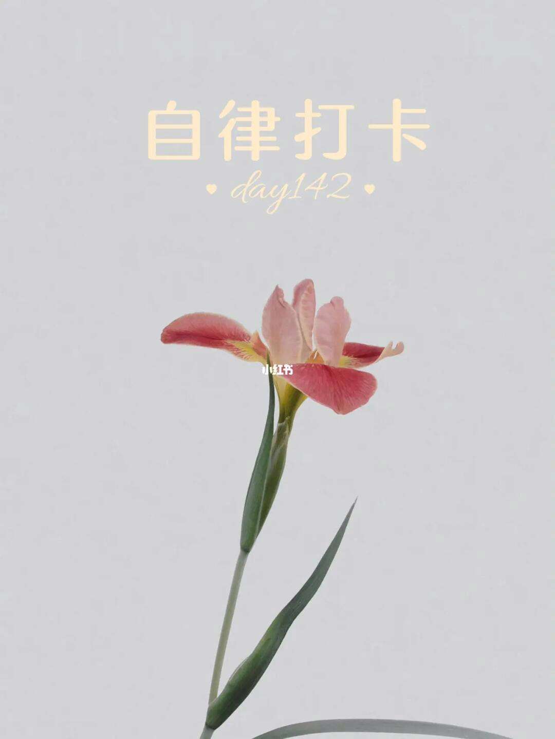 自律打卡软件下载手机版31天自律打卡表格电子版-第2张图片-亚星国际官网