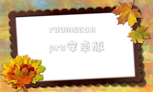 roomscanpro安卓版canborderapp官方下载