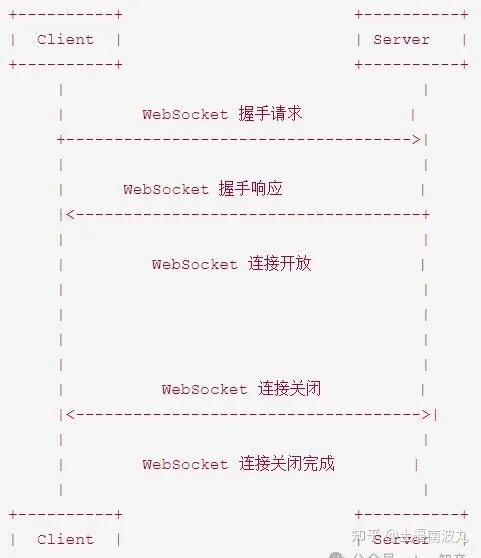golang编写websocket客户端laravel搭建websocket服务器视频教程