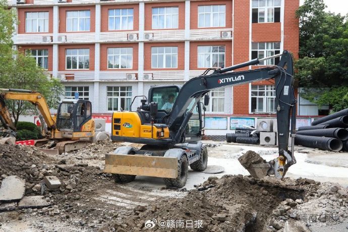 幸福崇义苹果客户端崇义县成功救护中华穿山甲-第2张图片-亚星国际官网
