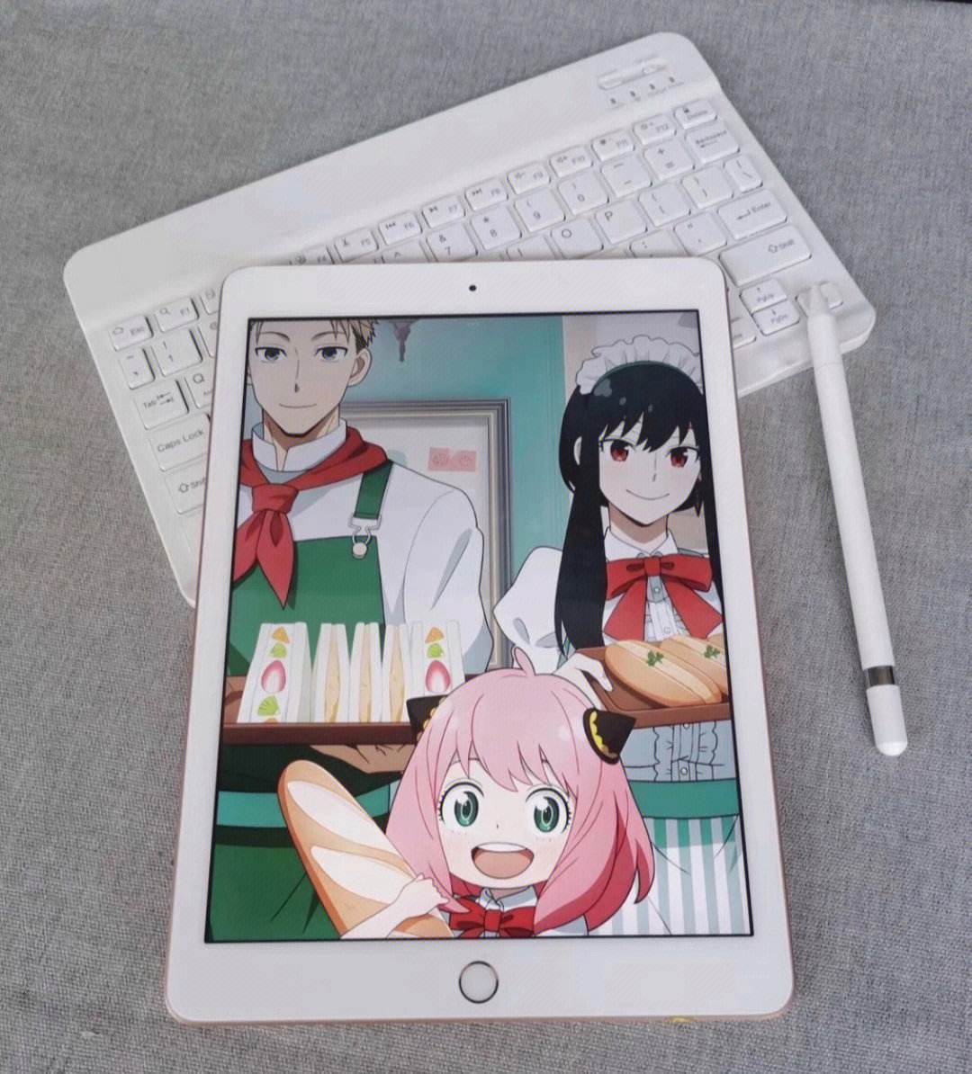 苹果什么是wifi版ipadwifi版和wlan版有什么区别