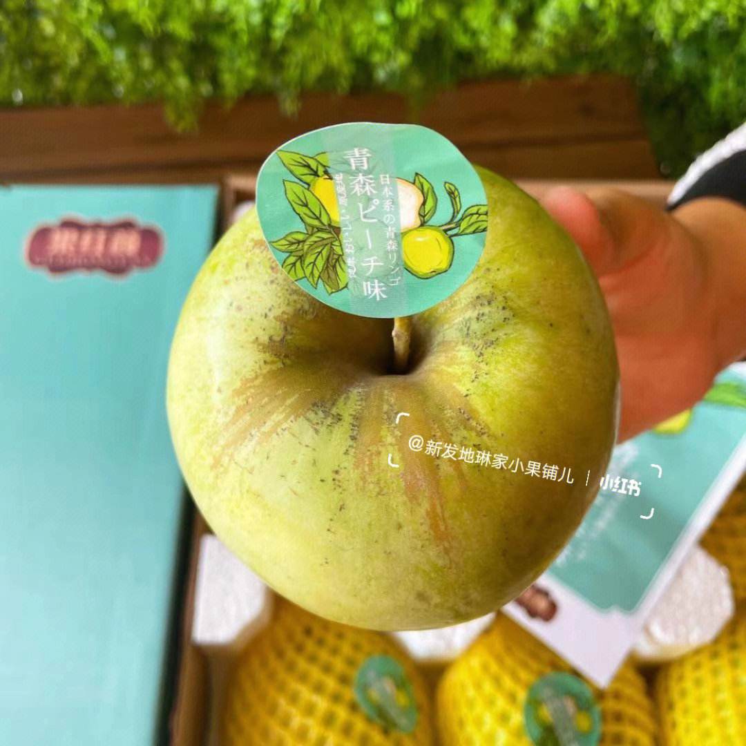 快递员5.7.0苹果版光环手游助手下载官方正版