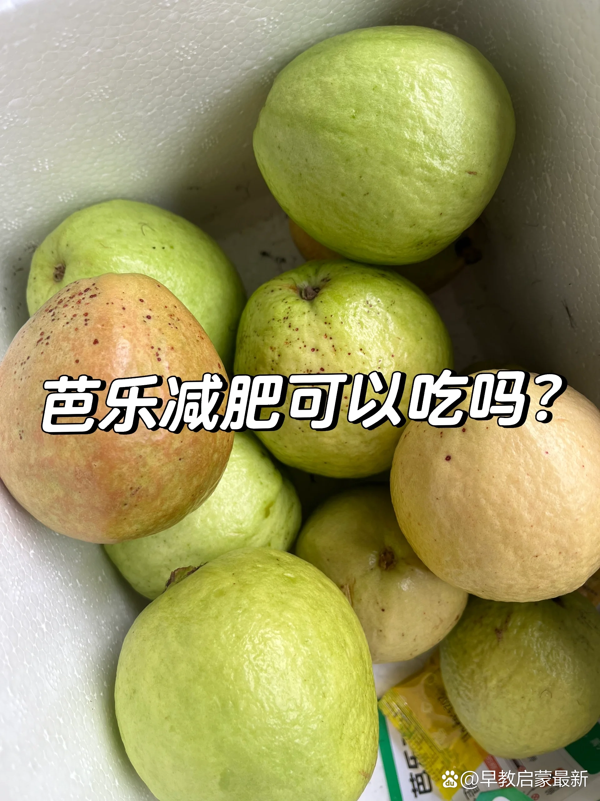 芭乐视频苹果版最新芭乐下载ios官方网站