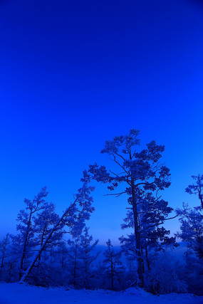 精品雪原苹果版下载苹果如何验机是原装正品